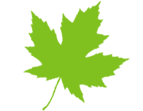 Maple Colony Logo